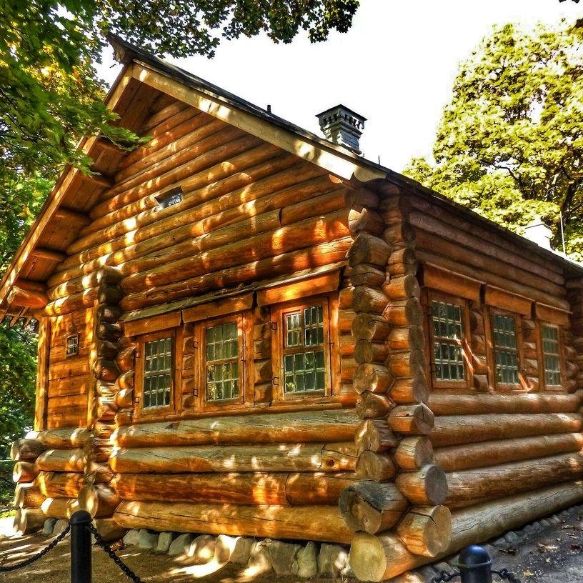 derevecky's profile picture. Простой парень Деревецкий #взаимныйфолловинг #цепочкафолловеров