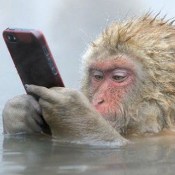 monocontw Profile Picture