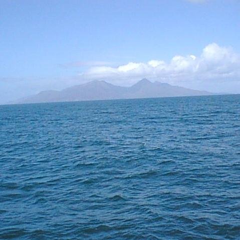 13Camouu's profile picture. 