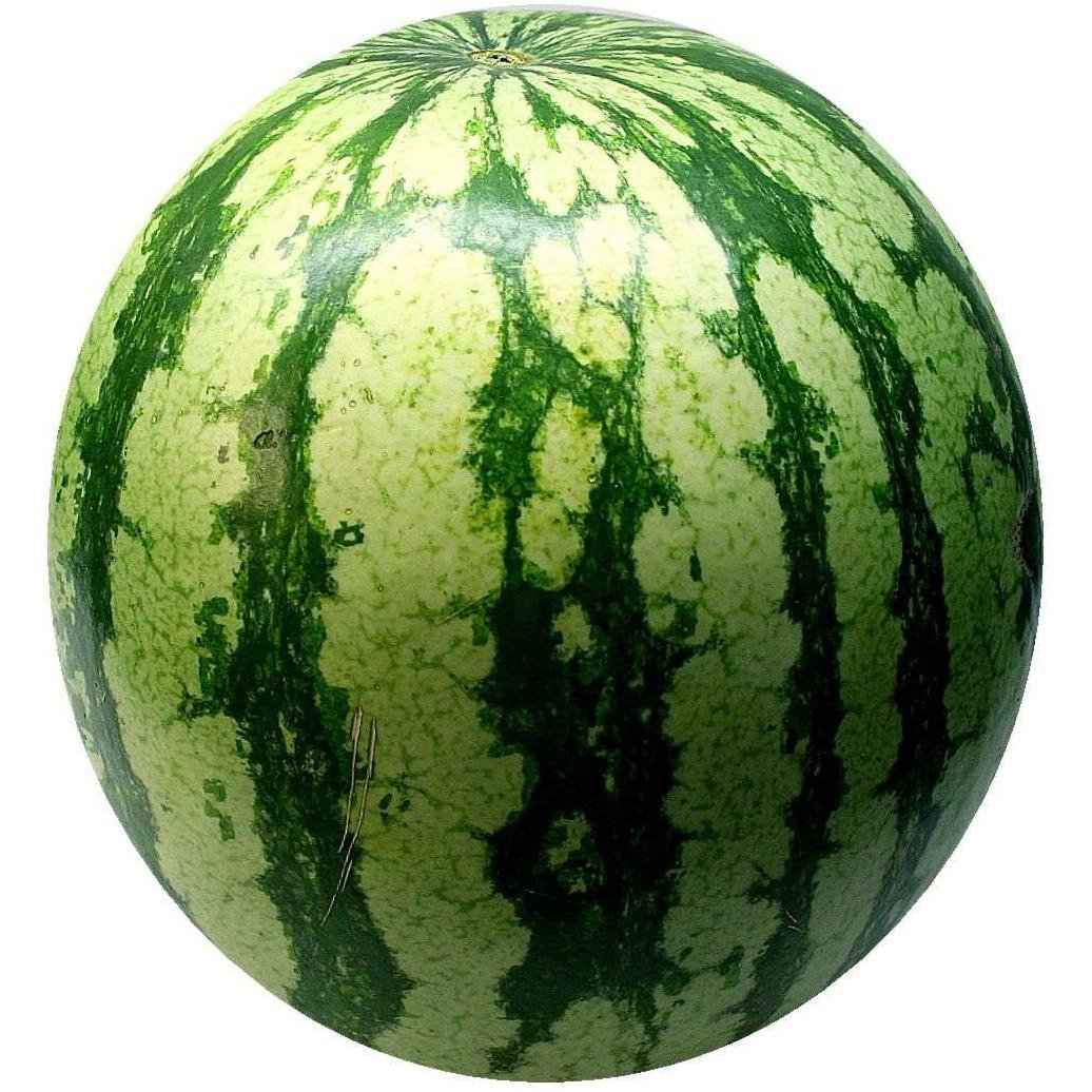 RybakovVojislav's profile picture. Help me famous internet, #makerybakovfamous