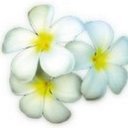 Denise Finney - @Denise_Finney61 - Twitter