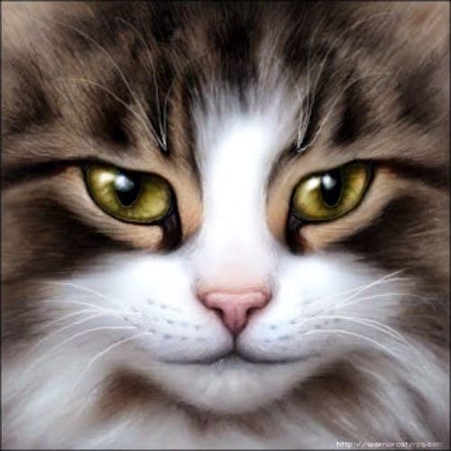 Doggist, Church of Stop Buying. #LGBT  
#StopRush, Feminist, OWS. No privatization of water. Anti-GMO. Life's too short not to play w your dog!
