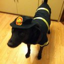 Brian Gutman - @gutmans18 - Twitter