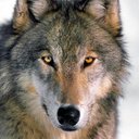 Mary Obrecht - @MaryObrecht - Twitter