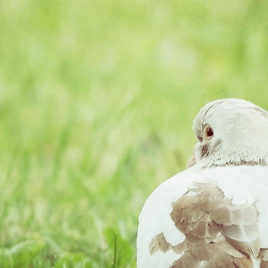 neulovimsla's profile picture. Кругом враги! #взаимныйфолловинг #цепочкафолловеров