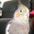 okameinko_pooh's profile image