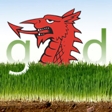 Welsh_G_Dragon's profile picture. For all who care about the Environment in South Wales