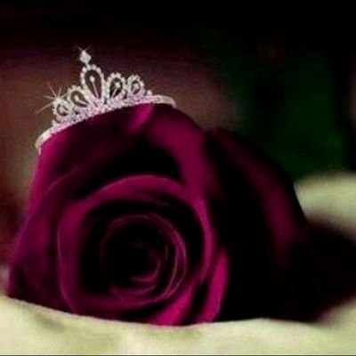 jkjk202020's profile picture. 