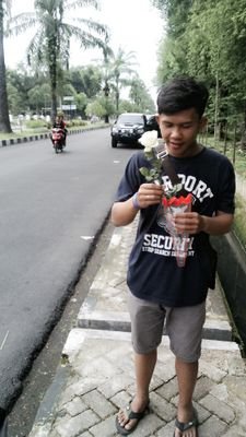 ostarasumbayak's profile picture. ottatpk night furyy