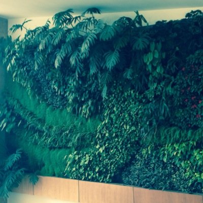 No necesitas grandes areas para tener un hermoso jardin - NOS GUSTA LO VERTICAL ATREVETE...!!!