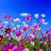 tina hardy (@tidyuptina) 's Twitter Profile Photo