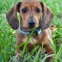 marcy warren - @marcywarren2001 - Twitter