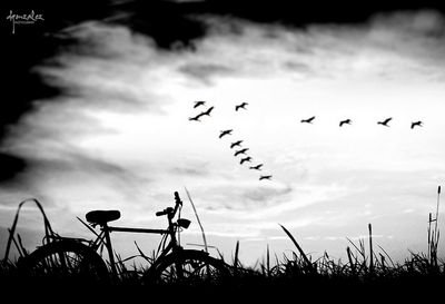 yerandi25's profile picture. 