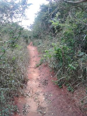 SLikunja's profile picture. tajili hajivuni pasipo masikini