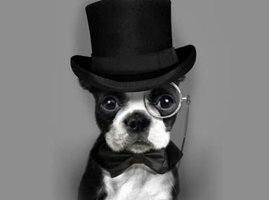 yyssqq1's profile picture. 