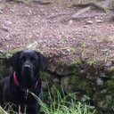 allan beveridge - @allan_bev - Twitter