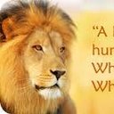 Ryan Kassel - @TransTripsTours - Twitter