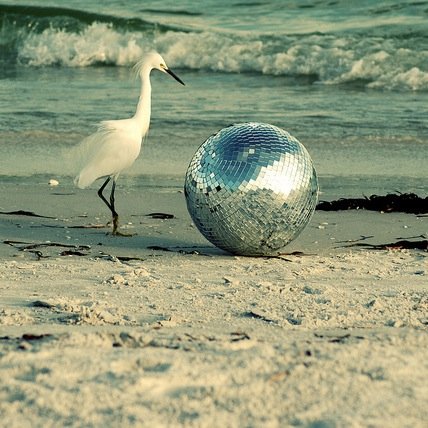Reflections on DANCE