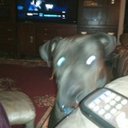 greg speakman - @speakman_greg - Twitter