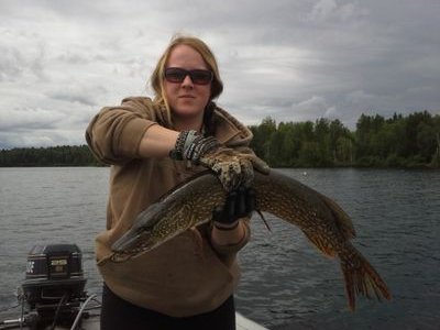 KLeaB7's profile picture. Island Laker.