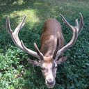 anthony hatton - @anthonyhatton2 - Twitter