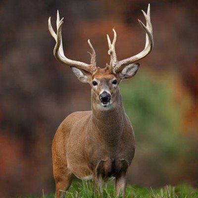 It's not just a hobby, it's an obsession. It's in your nature.