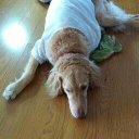 FORREST MOBLEY - @67e7d070adbd425 - Twitter