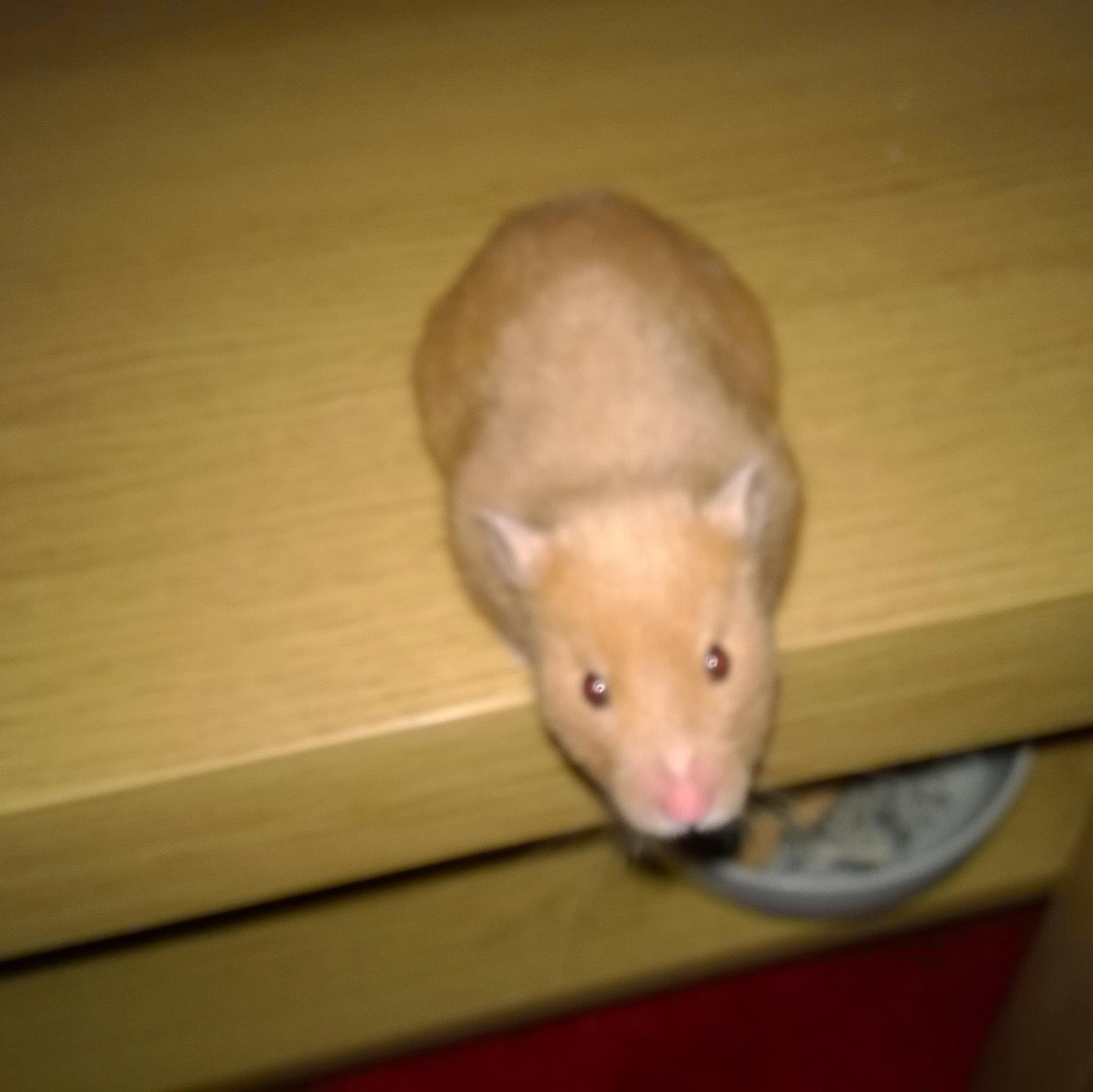 michaelamcewan1's profile picture. Hey ??!!!