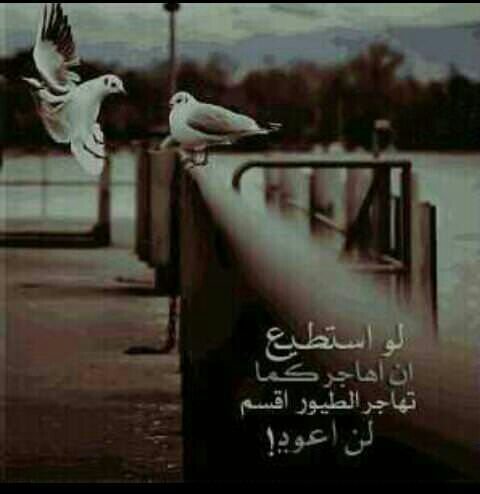 15 مايو