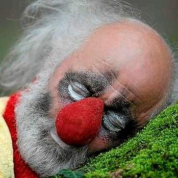 Estoy convencido de que el camino del clown, la impro, el juego, y la meditación activa llevan al despertar espiritual. Me ayudas a demostrarlo?