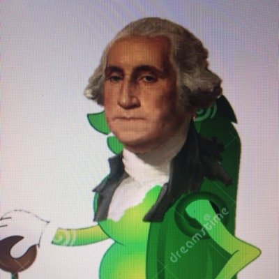 WashingtonGump's profile picture. Vote George Washington for the greatest hero of all time with running mate Forrest Gump. #peasandcarrots #gressu