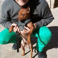 Ruben Dusac (@rubendusac) 's Twitter Profile
