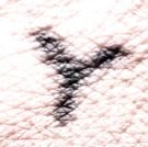 MiloGrandTour's profile picture. traveler