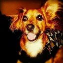 Leslie Solano - @leslie2106 - Twitter