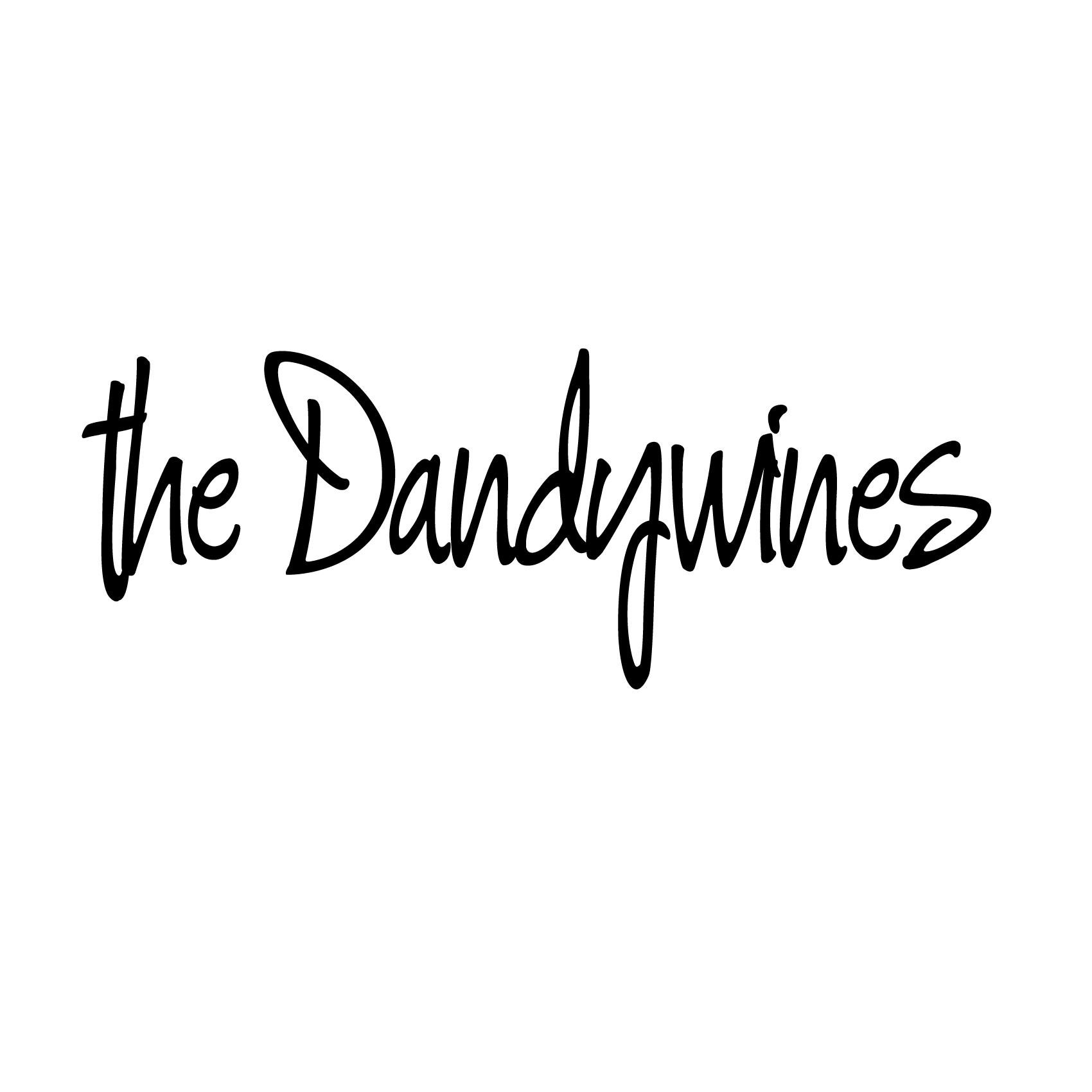 the Dandywines are a 2 piece band. We are from Earth.