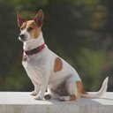 Mark Masterson - @MarkMasterson10 - Twitter