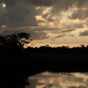 Dan Roe - @DBRoe4 - Twitter