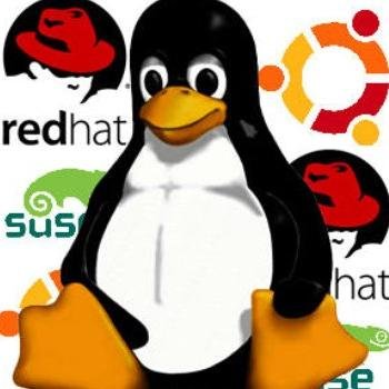 GNUplus Profile Picture