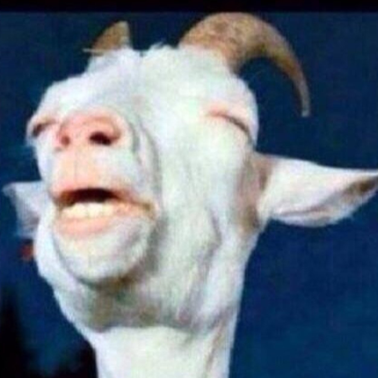 elcartel7777's profile picture. CoD Competitive Player | SXG eSports | SXG ViZionZ VizionzGOD