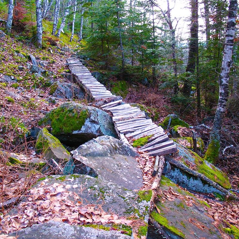 walkingtbay's profile picture. For walking and running enthusiasts in the Thunder Bay region. Trails, events and more.