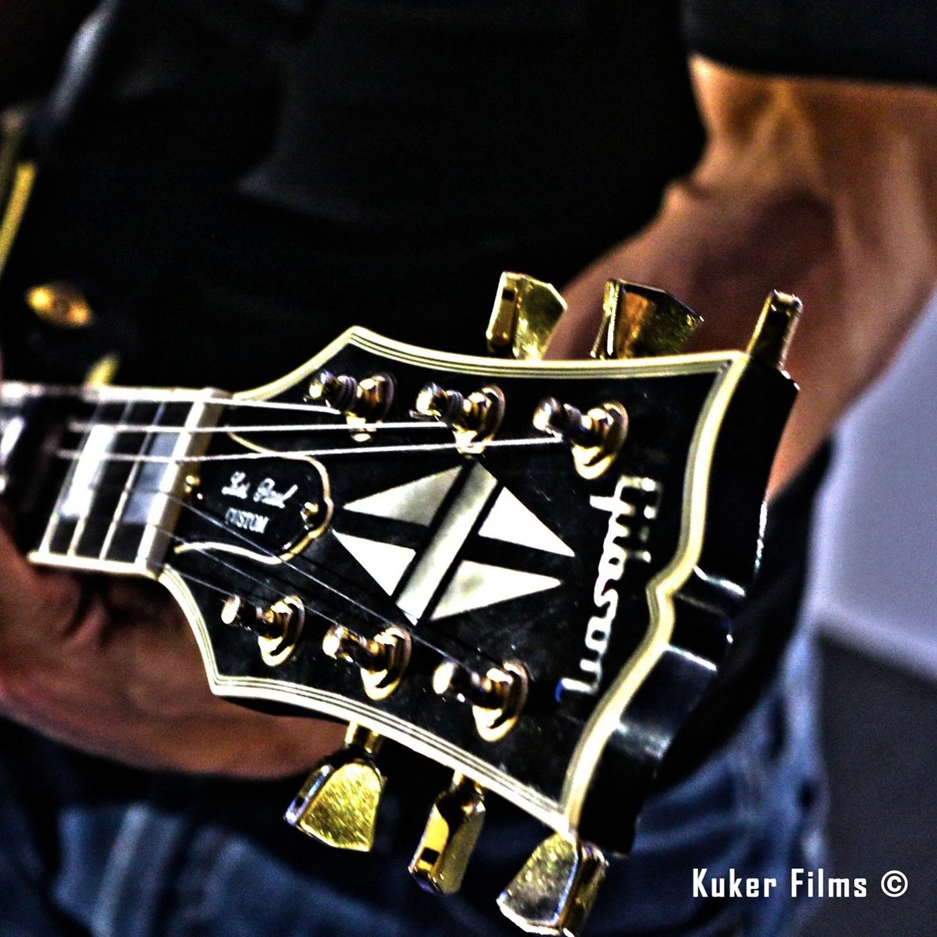 mustardrock Profile Picture