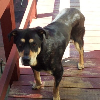 WillieJ510's profile picture. 