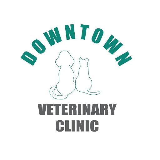 Downtown_Vet's profile picture. Make an appointment today (212) 463-8705 / Downtownvetclinic@gmail.com/ Instagram: @DowntownVet