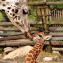 Julia Arnett - @2d8337d9e24d423 - Twitter