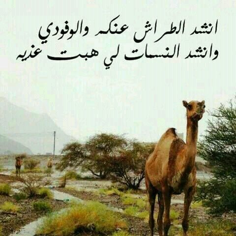 جمعية هواة الطقس والابتكارات/اكتب الشعر والنثر الادبي/هندسة شبكات/امن المعلومات/قضايا اجتماعيه/اعمال تطوعيه /للتواصل وتس اب +96895570610