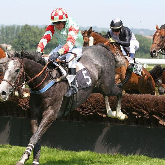 Horseracing tipster providing Horse racing/Sports selections.Over 8000pts up since 2012.https://t.co/rYZCnZCpp1
