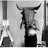 rodri_RG's profile image