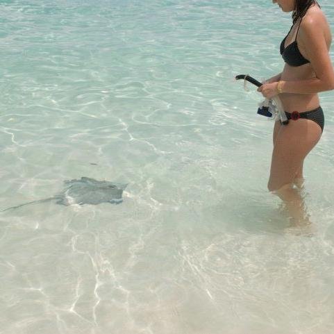 LifeofaMarinegf's profile picture. 3rd year in college/Ohio born and raised/ 20/Avi is me