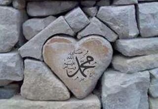 vip5_3's profile picture. 