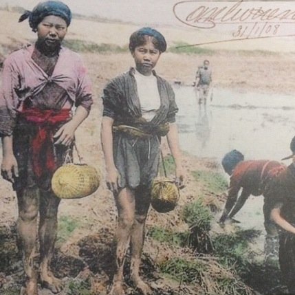 coba53vietkitch's profile picture. Vietnamese Kitchen & Banh Mi. You'll come for Vietnamese food. You'll come back because you found more. Visit us on 53rd Street between 9th & 10th Avenues.